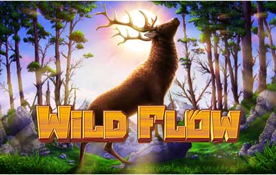 Wild Flow